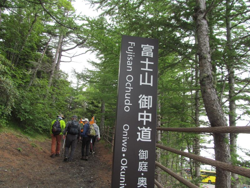 20190710_125659.JPG