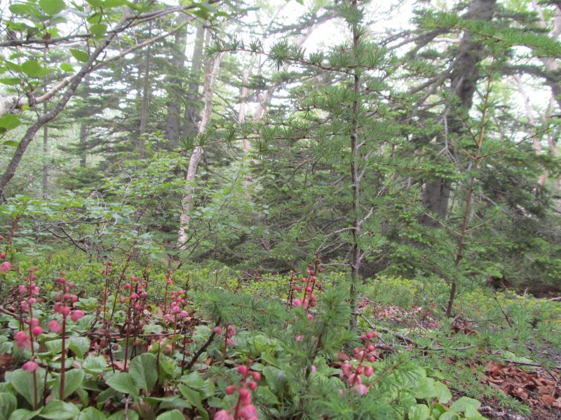 20190710_131647.JPG
