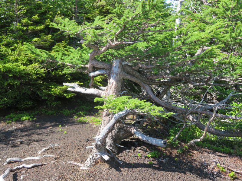 20190710_144408.JPG